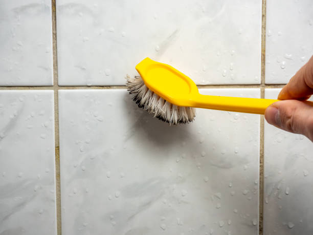 Best Commercial Mold Remediation in Gosport, IN