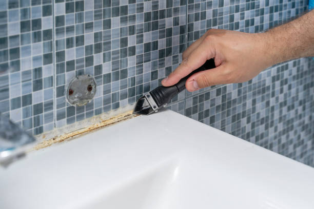 Best DIY Mold Remediation Support Services in Gosport, IN